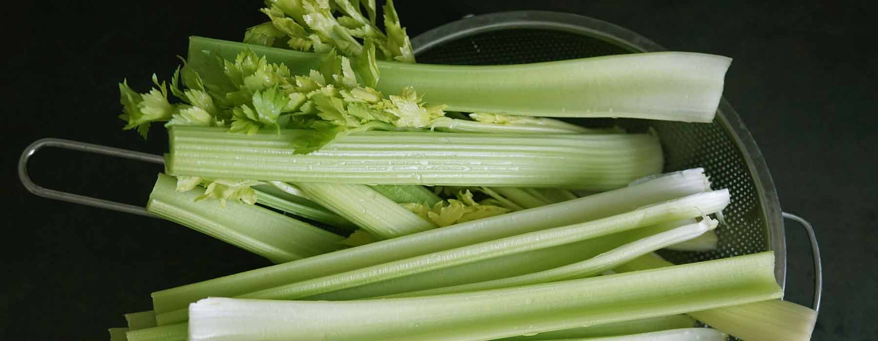 Can Guinea Pigs Eat Celery | Are Celery Strings Safe to Eat?