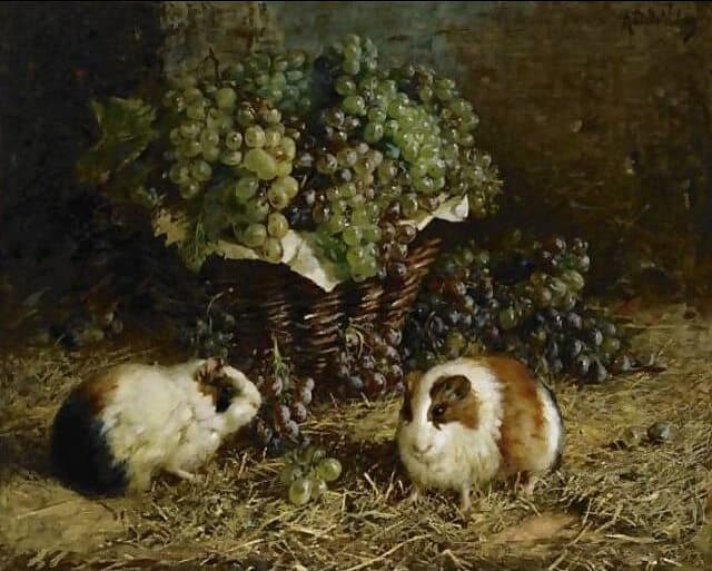 old painting of guinea pigs