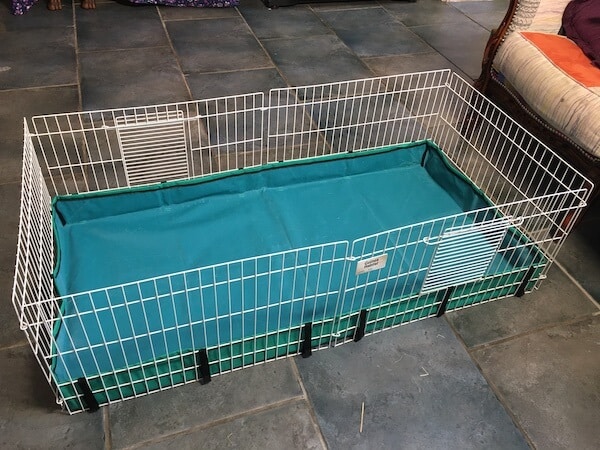 Midwest guinea habitat guinea pig cage best sale