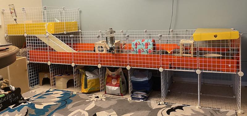 Raised guinea pig hutch best sale