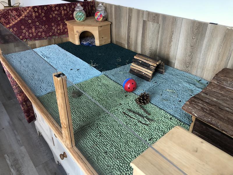 Exercise area in a cage setup
