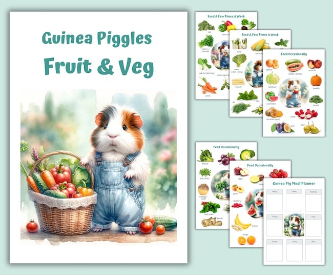 Guinea Pig Food Charts - Printable PDF Download