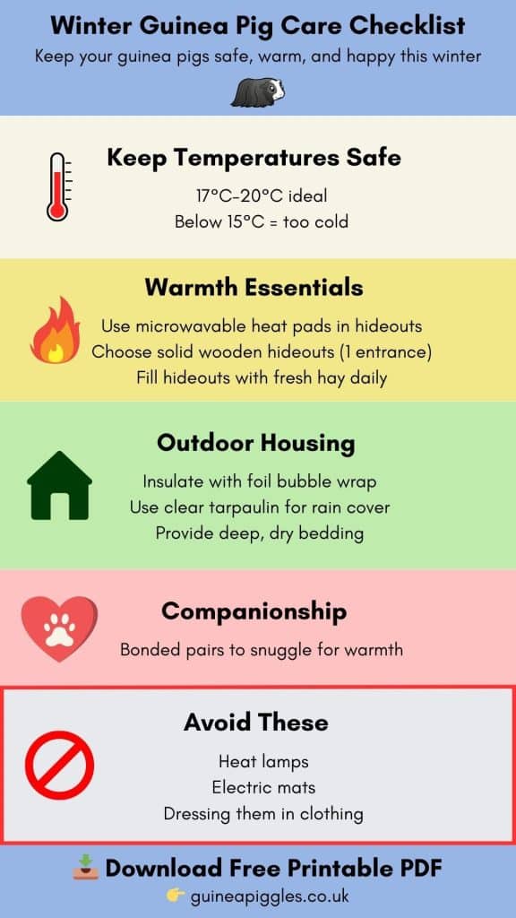 how to keep guinea pigs warm in winter pinterest infographic